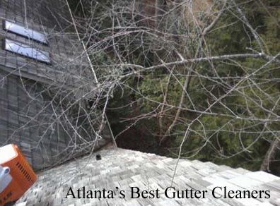 Norcross's Best Gutter Cleaners Before and After Tree Pruning