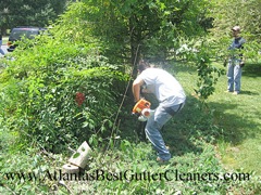 Norcross's Best Gutter Cleaners does tree pruning of limbs coming in range of the gutters.