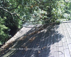 Norcross's Best Gutter Cleaners does tree pruning of limbs coming in range of the gutters.